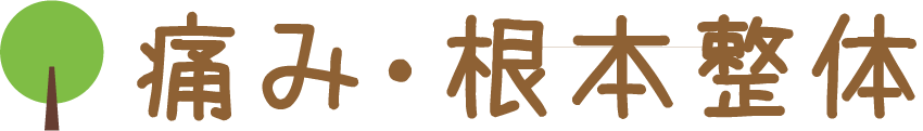 痛み・根本整体